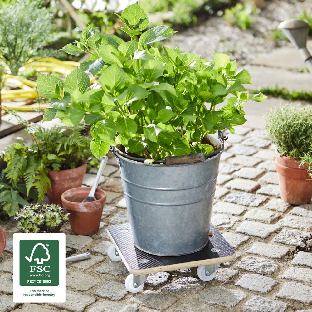 Produktabbildung Nr. 2: WAGNER Rouleur pour plantes MAXIGRIP 29 x 29 x 8,5 cm Bois capacité de charge 200 kg