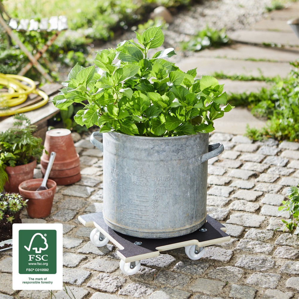 Produktabbildung Nr. 2: WAGNER Rouleur pour plantes MAXIGRIP 39 x 39 x 10 cm bois, capacité de charge 200 kg
