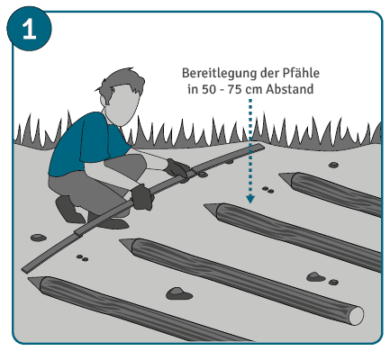 Benjeshecke anlegen Anleitung Schritt 1