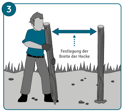 Benjeshecke anlegen Anleitung Schritt 3